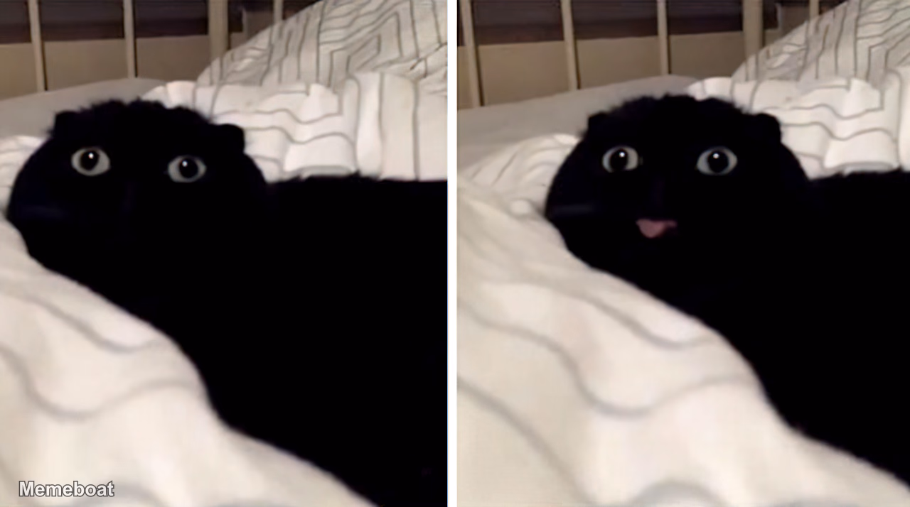 Void Cat Blep - meme generator image preview