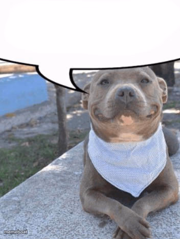 Waiter more x please - meme generator image preview