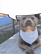 Waiter more x please