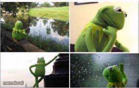 Waiting Kermit - meme generator image preview