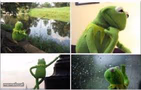 Waiting Kermit