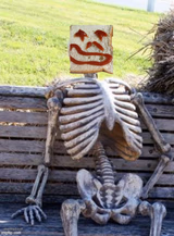 waiting skeleton-Happy Face