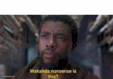 Wakanda nonsense is this