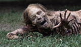Walking Dead Zombie
