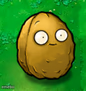 Wall-Nut