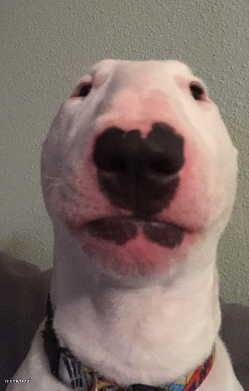 Walter - meme generator image preview