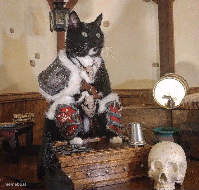 War lord cat - meme generator image preview