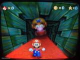 Wario Shows Fun