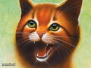 Warrior cats Firestar
