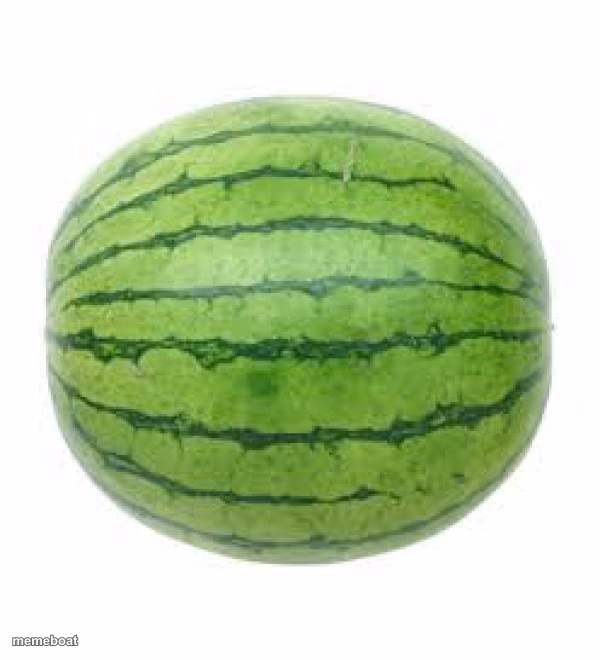 Watermelon - meme generator image preview