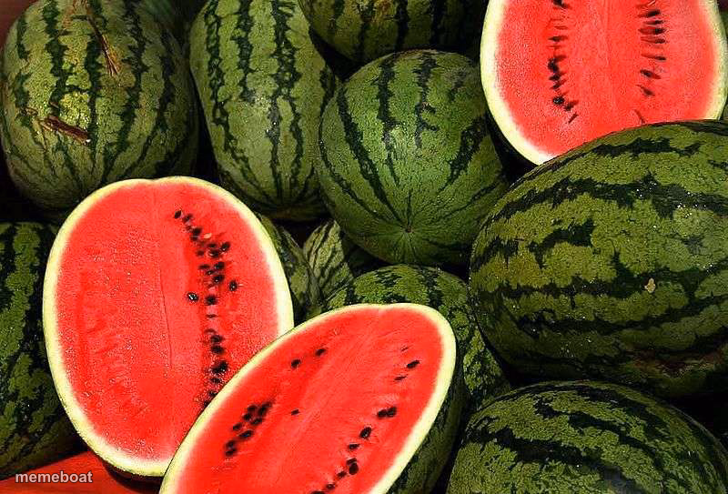Watermelons - meme generator image preview