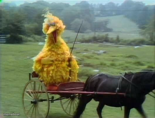 We ride at dawn bitches blank - meme generator image preview