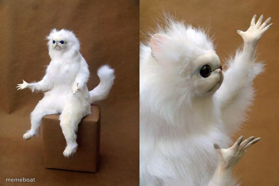 Weird cat - meme generator image preview