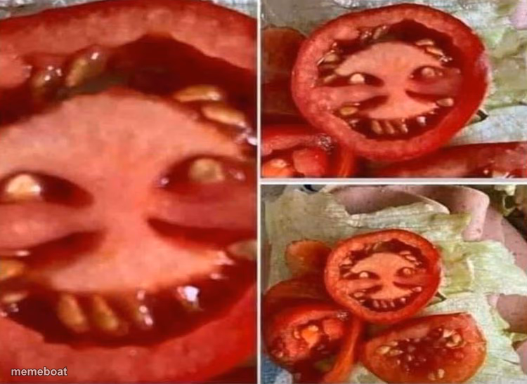 Weird tomato - meme generator image preview