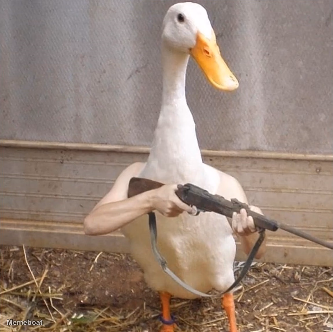 Weirdest Duck - meme generator image preview