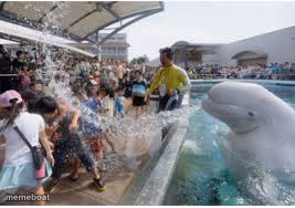 WELCOME TO SEAWORLD MF! - meme generator image preview
