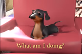 What am I doing?