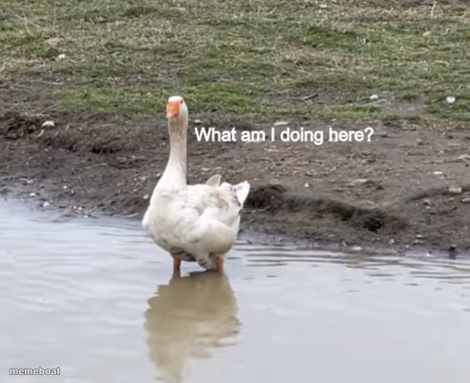 What am I doing here? - meme generator image preview