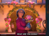 What are you doing?