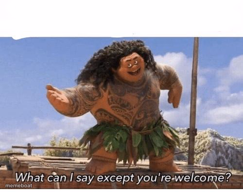 What can I say except you're welcome? - meme generator image preview