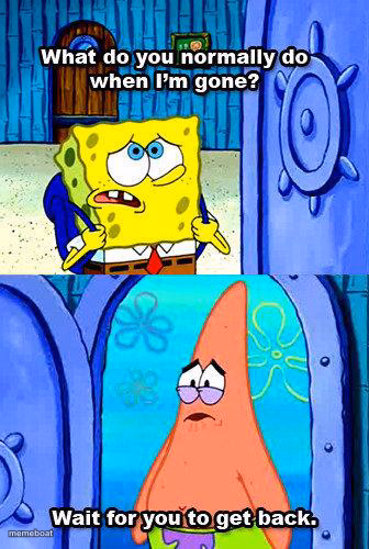 What do you normally do when I'm gone? - meme generator image preview