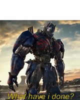 What Have i Done Optimus Prime