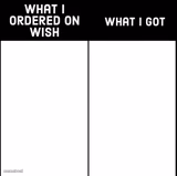 what I ordered on wish and what I got