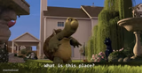 What is this place