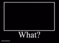 What? meme