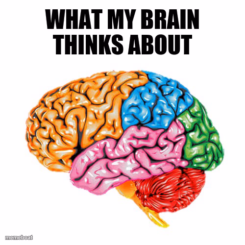 What my brain thinks about - meme generator image preview