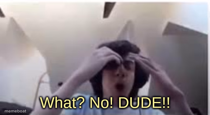 What? No! DUDE!! - meme generator image preview