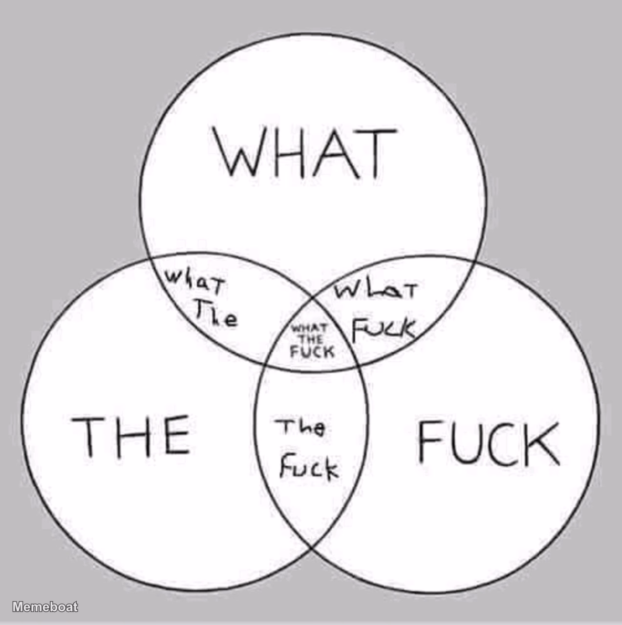 What the Fuck Venn Diagram - meme generator image preview
