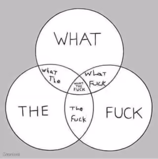 What the Fuck Venn Diagram