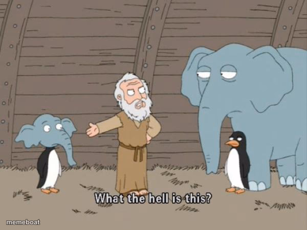 What the hell is this? - meme generator image preview