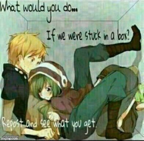 What would you do if we were stuck in a box? - meme generator image preview
