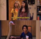 Whatcha got there