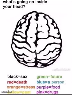 What's going on inside your head? - meme generator image preview