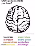 What's going on inside your head?