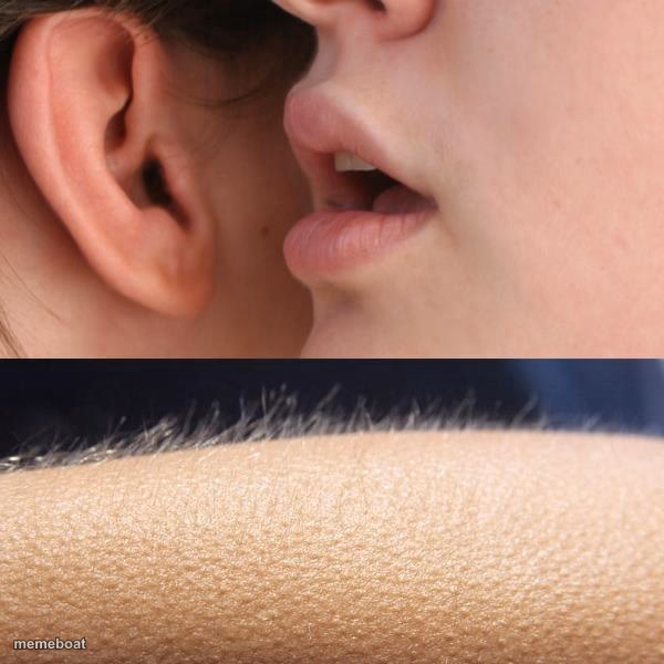 Whisper and Goosebumps - meme generator image preview