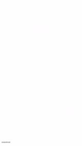 white blank template