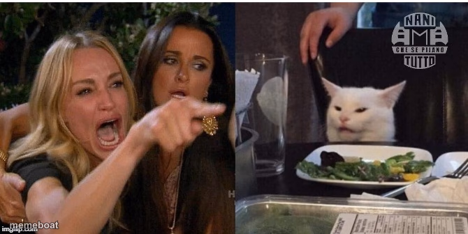 white cat table - meme generator image preview