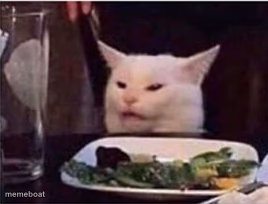 white dinner table cat - meme generator image preview