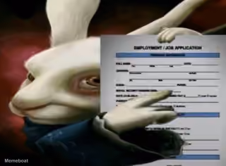 White Rabbit Pointing at a Job Application