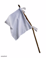 white_flag
