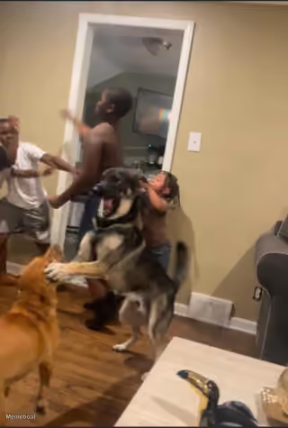 Whole House Mad