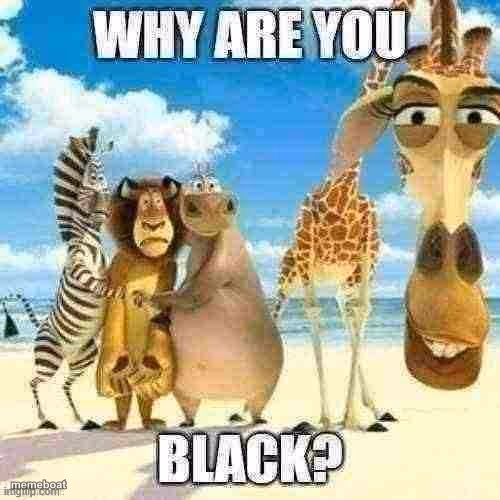 why are you black? - meme generator image preview