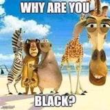 why are you black?