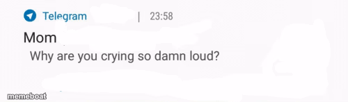 Why are you crying so damn loud - meme generator image preview