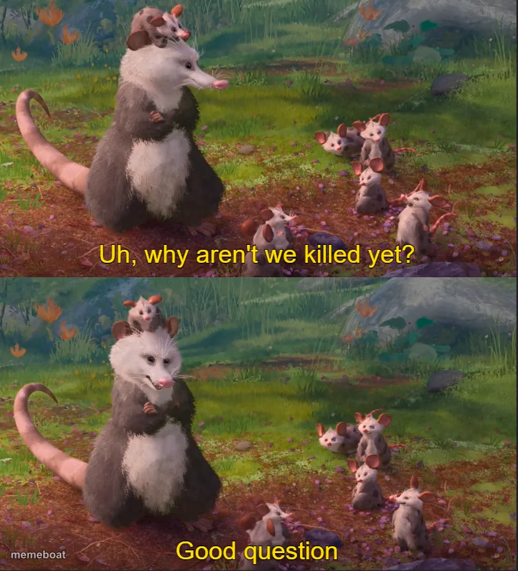 Why Aren't We Killed Yet? Good Question. - meme generator image preview