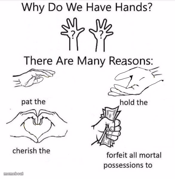 Why Do We Have Hands - meme generator image preview